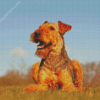 Beautiful Airedale Terrier diamond painting