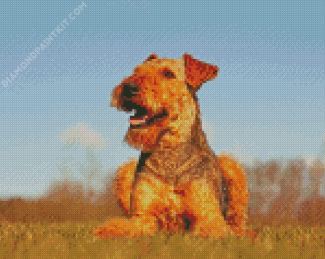 Beautiful Airedale Terrier diamond painting