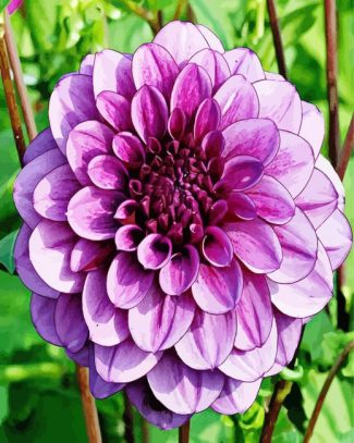 Beautiful Purple Dahlia diamond painting