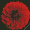 Beautiful Red Dahlia diamond painting