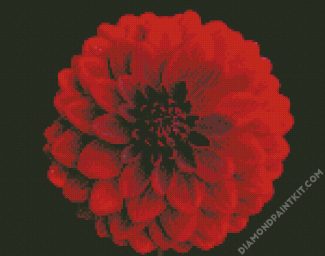 Beautiful Red Dahlia diamond painting