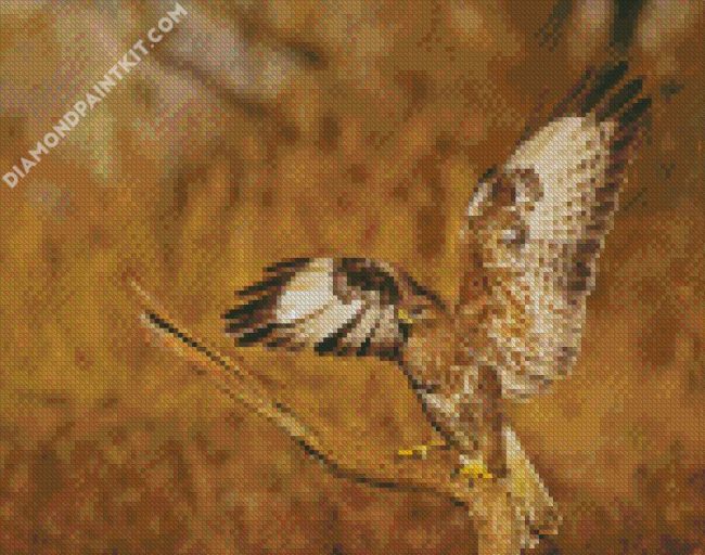 Bird Of Prey Buzzard diamond painting