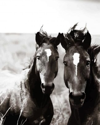 Black And White Brumbies diamond painting