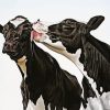 Black And White Cows diamond painting