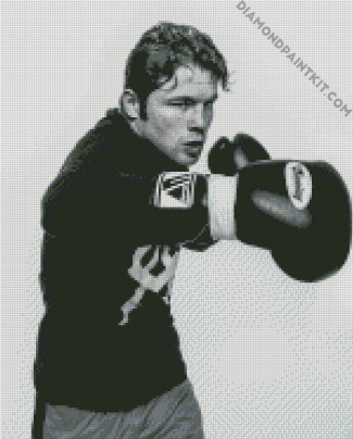 Black And White Canelo diamond painting