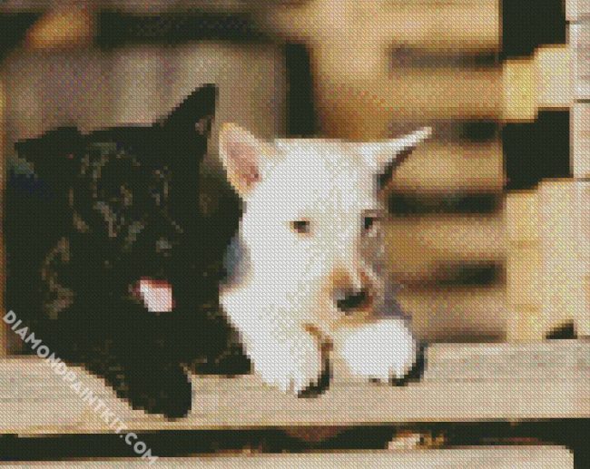 Black And White Scottish Terrier Dogs diamond painting