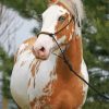 Blonde Paint Horse diamond painting