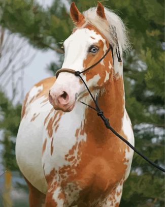 Blonde Paint Horse diamond painting