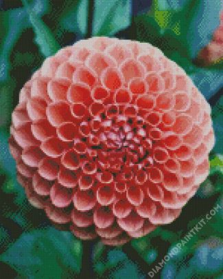 Blooming Orange Dahlia diamond painting