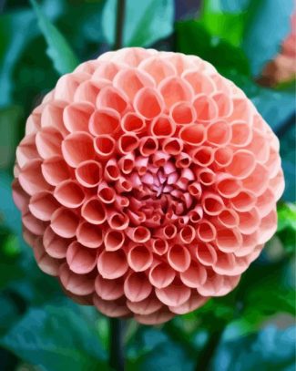 Blooming Orange Dahlia diamond painting