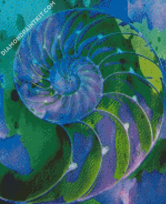 Blue And Green Nautilus Shell diamond painting