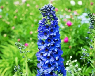 Blue Delphiniums diamond painting