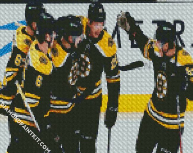 Boston Bruins Hockey Players diamond painting