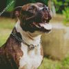 Brindle Pitbull diamond painting