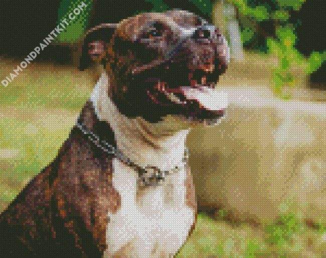 Brindle Pitbull diamond painting