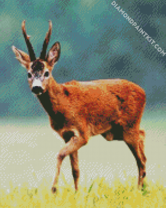 Brown Chamois diamond painting