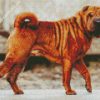 Brown Shar Pei Dog diamond painting