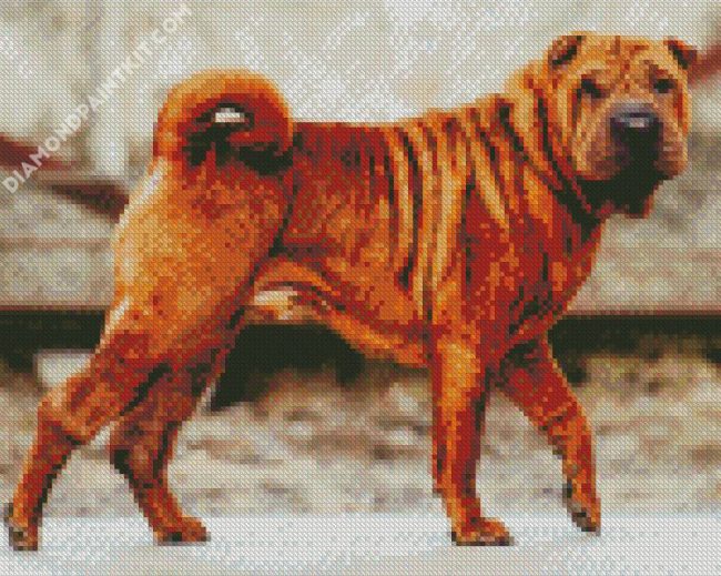 Brown Shar Pei Dog diamond painting