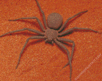 Brown Spider Insect diamond painting