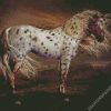 Brown Appaloosa Horse Art diamond painting