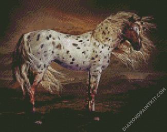 Brown Appaloosa Horse Art diamond painting