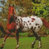 Brown Appaloosa Horse diamond painting