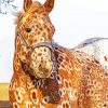 Brown Appaloosa diamond painting