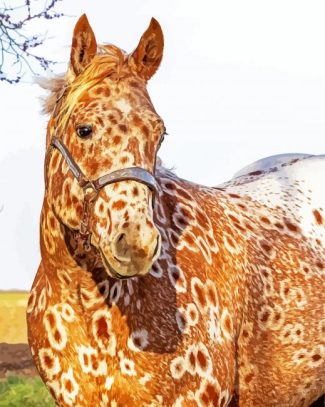 Brown Appaloosa diamond painting