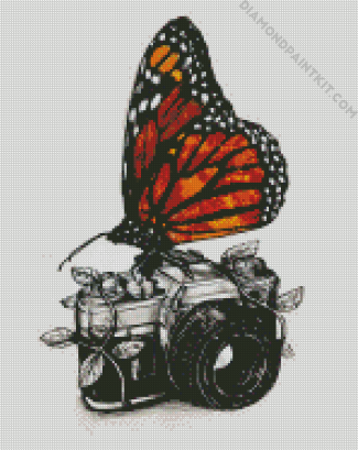 Butterfly On Camera diamond painting