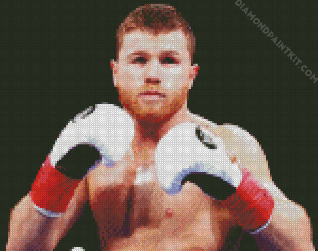 Canelo Alvarez Boxer diamond painting