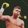 Canelo Alvarez diamond painting