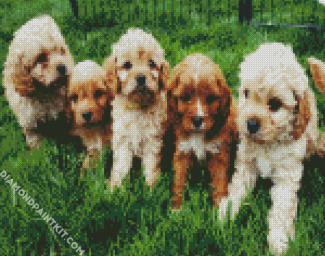 Cavoodle Puppies diamond painting