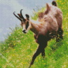 Chamois In Field diamond painting