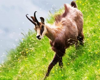 Chamois In Field diamond painting