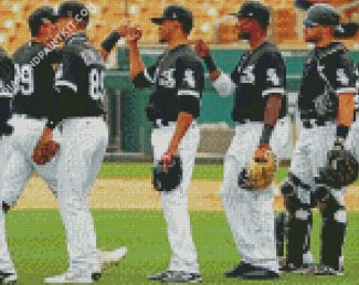 Chicago White Sox Baseball Players diamond painting