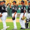 Chicago White Sox Baseball Players diamond painting