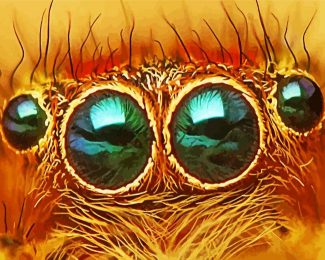 Close Up Spider Eye diamond painting