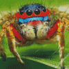 Colorful Spider Insect diamond painting