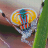 Colorful Spider diamond painting