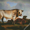 Cows Animals diamond painting