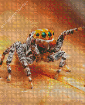 Cute Little Spider diamond painting