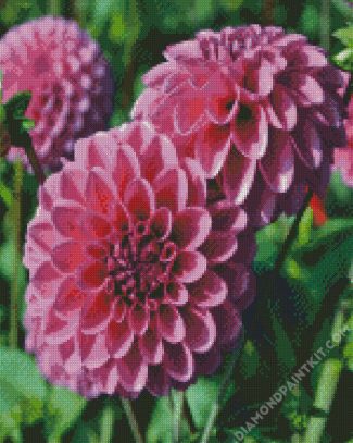 Dahlia Purple Flower diamond painting