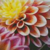 Dahlia Flower diamond painting