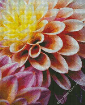 Dahlia Flower diamond painting