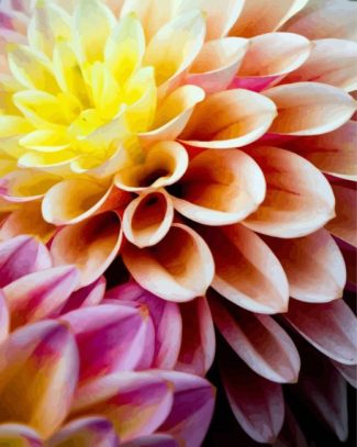 Dahlia Flower diamond painting