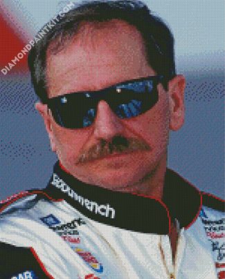 Dale Earnhardt diamond painting