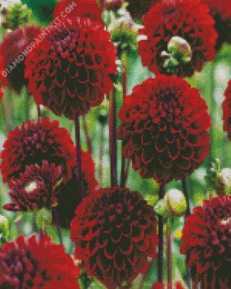 Dark Red Dahlias diamond painting