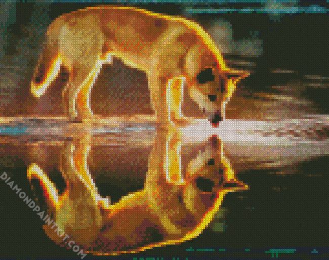 Dingo Reflection diamond painting