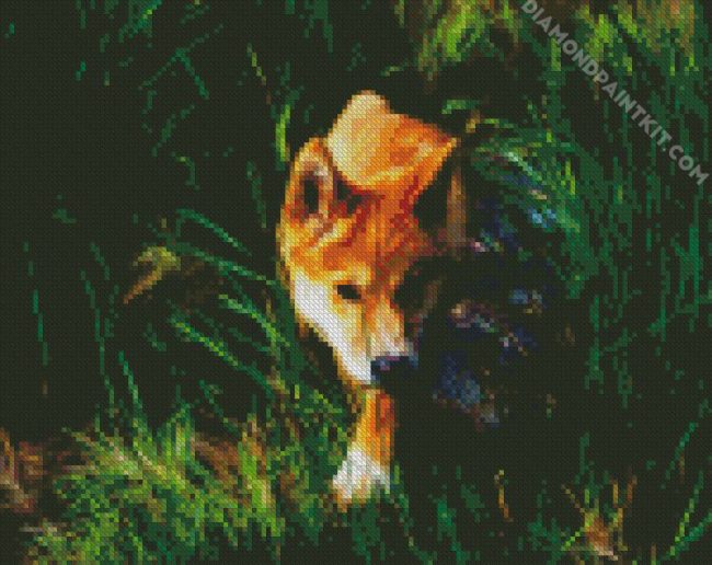 Dingo Wild Dog diamond painting