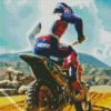 Dirt Bike Driver diamond painting